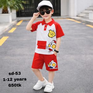2 Pieces Combo - T Shirt And Pant Set  sd-53